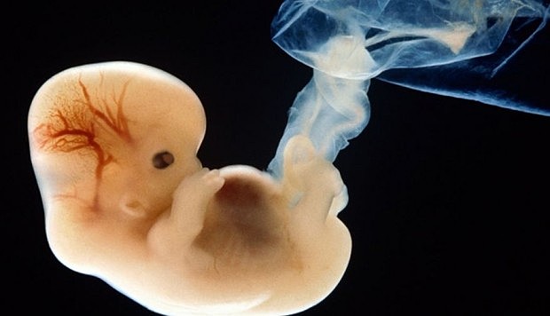 Investigadores de la universidad de Cambridge