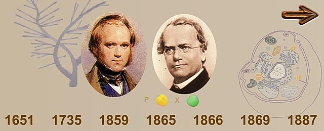 nacimiento de la genetica