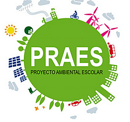 Decreto 1860 de 1994