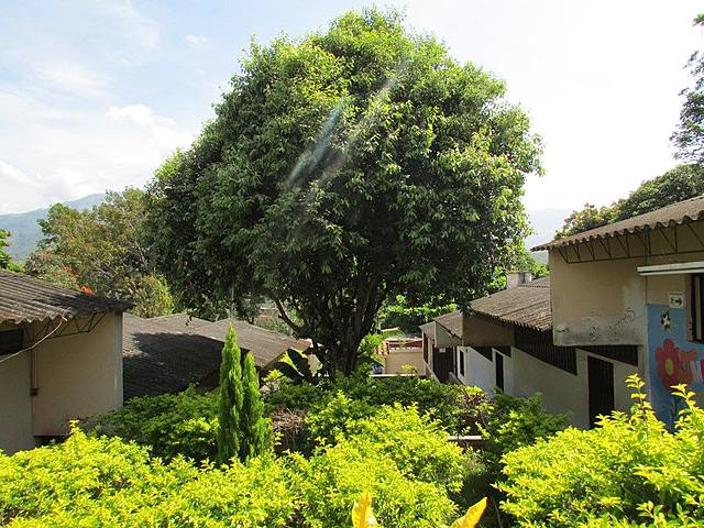 Reconocimiento al proyecto  PRAE