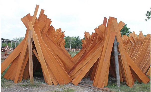 Ley 464 de 1998 /Convenio Internacional de las Maderas Tropicales