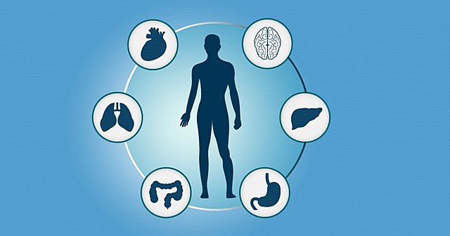 HISTORIA / HISTORIA DE LA ENFERMEDAD / HISTORIA DE LA SALUD PÚBLICA.