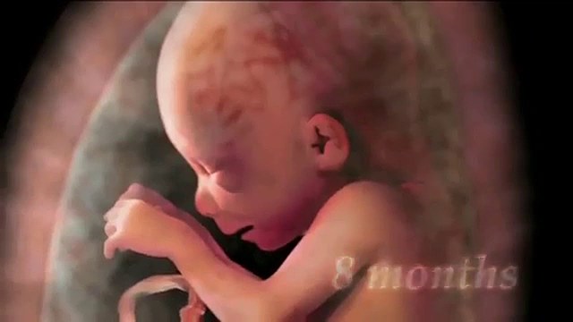 De la concepción al nacimiento