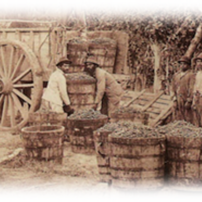 Timeline: Contexto Internacional de México.