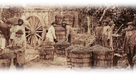 Timeline: Contexto Internacional de México.