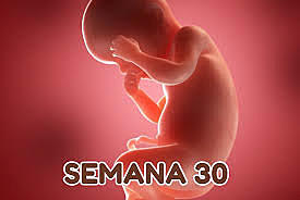 semana 30