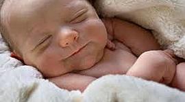 Timeline: ¿Que pasa en las 40 semanas del embarazo?