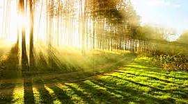 Timeline: HISTORIA DE LA LUZ