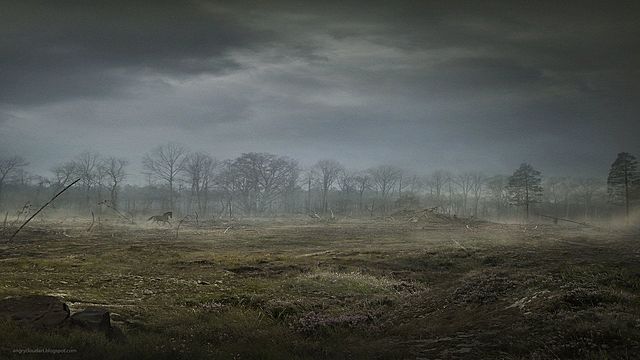 Stabilisation du front Est