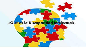 (AAMD) PUBLICA LA DEFINICIÓN DE HERBER