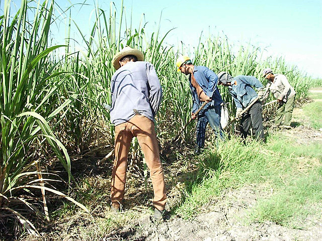 Modelo económico de sustitución de importaciones.