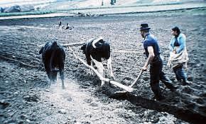 Políticas sociales precursoras del combate a la pobreza