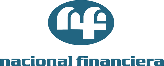 Reorganizacion de NACIONAL FINANCIERA ( NAFIN )