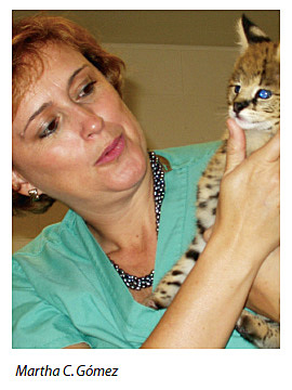 Martha.C.Gomez