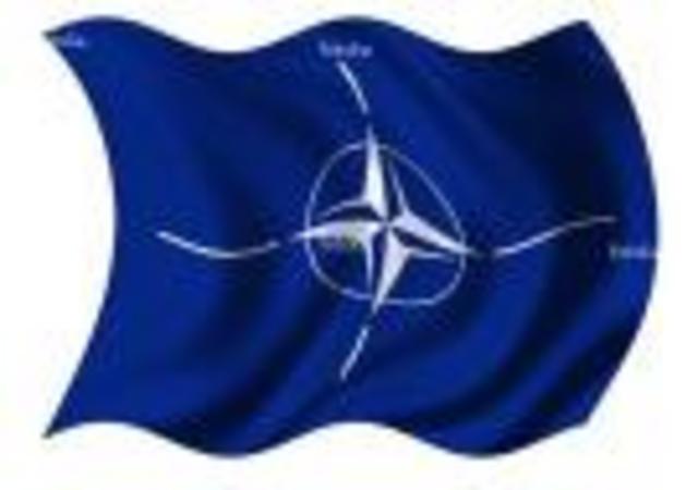 NATO organized