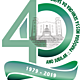 Logo 40 anos verde