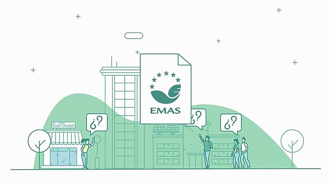 EVOLUCIÓN AL EMAS II