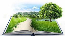 Timeline: Educación Ambiental en los 80`s