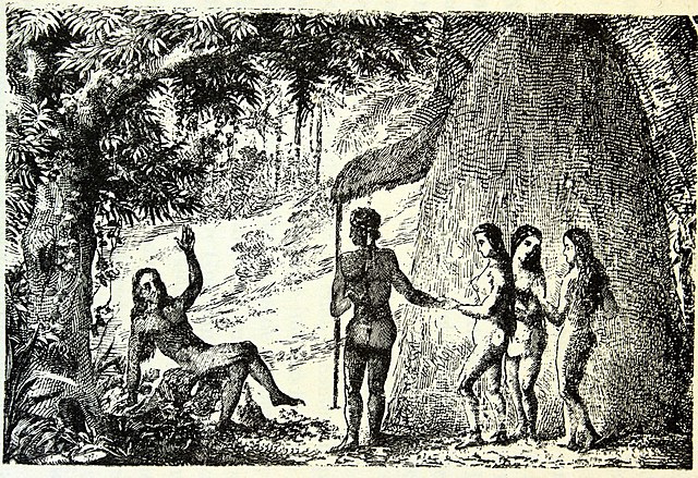 2.	La decadencia de la participación política y el protagonismo de la mujer.