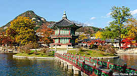 Timeline: corea del sur sherlin