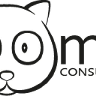 Timeline: Historia Grafos - Woombat Consulting Group