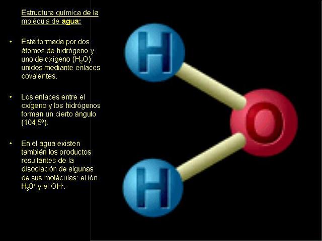 USO Y ADOPCIÓN DE LA FRASE "GRAFO"