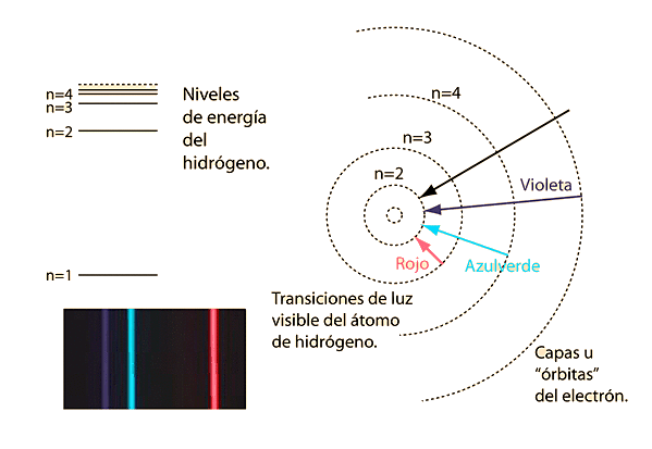 Niehls Bohr