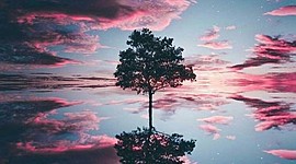 Timeline: LA INFORMACIÓN Y LA COMUNICACIÓN EN EL TIEMPO