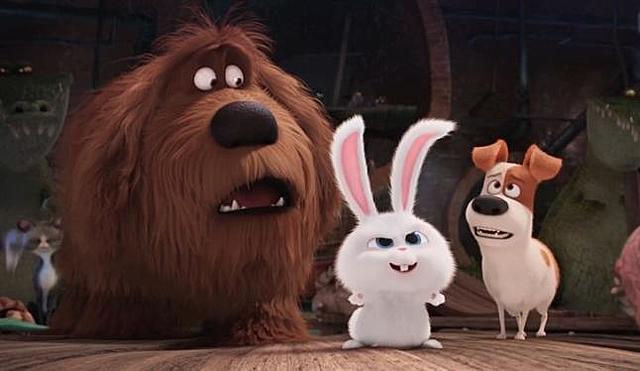 The secret life of pets
