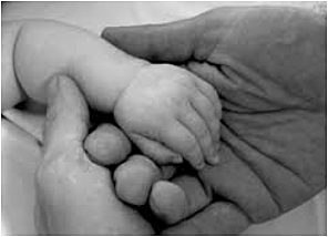 Realidad de derechos