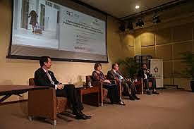 Programa de desarrollo