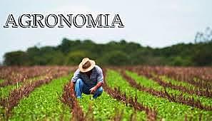 Visión agronómica del suelo