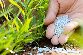 Industria de fertilizantes