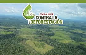Acciones ambientales del Gobierno Nacional promueven protección de los bosques