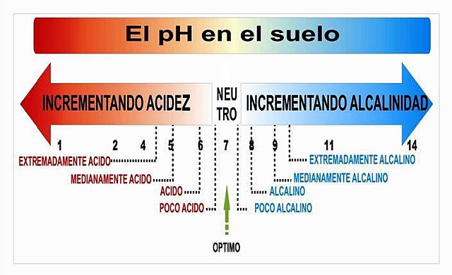 Establecimiento de las reacciones del suelo