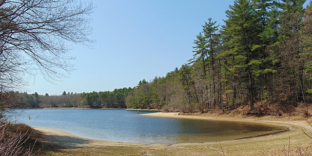 WALDEN, or Life in the Woods