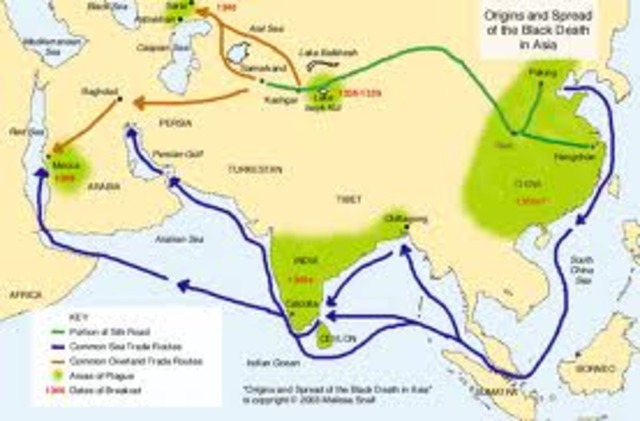 which spread along the Silk Road from China to Europe starting in 1328