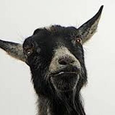 Timeline: papunya history