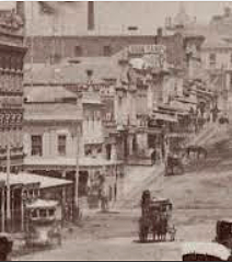 the bush tucker is going