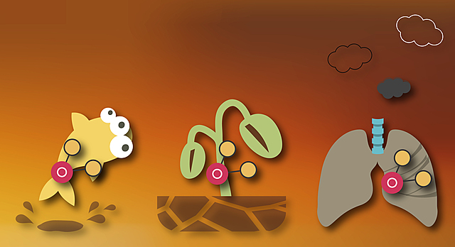 Contaminantes orgánicos persistentes