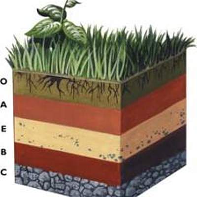 Timeline: Historia de la Edafología