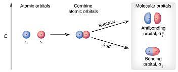 Atoms combine into molecules