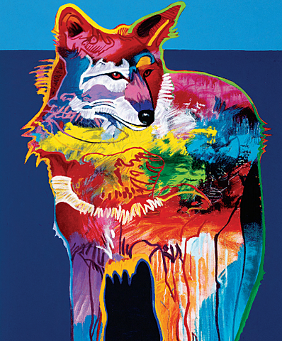 Coyote and The Buffalo