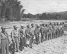 Guerilla Warfare (1973-1979)