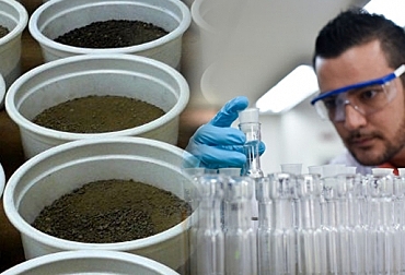 Edafología experimental