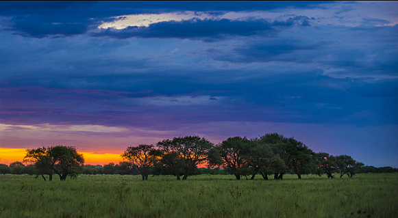 Llanos orientales de Colombia
