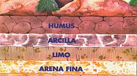 Timeline: Historia de la edafología (Carlos Bohórquez,David Cortes, Camilo Mahecha, Felipe Rodriguez)