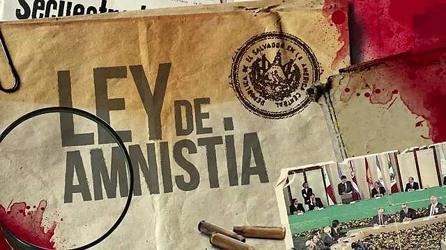 LEY DE AMNISTIA