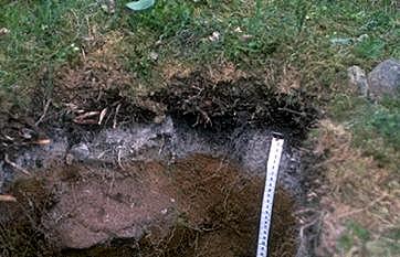 La química y sus relaciones con la agronomía