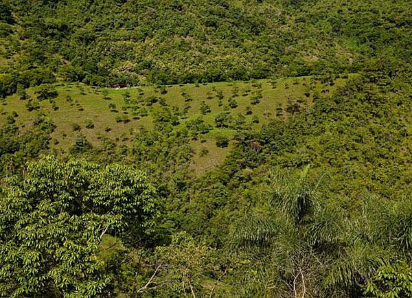 Protección del suelo en Colombia